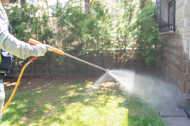 Best Termite Control Services  in Black Mountain, NC